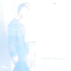 Cover of I Don't Know Where You Are