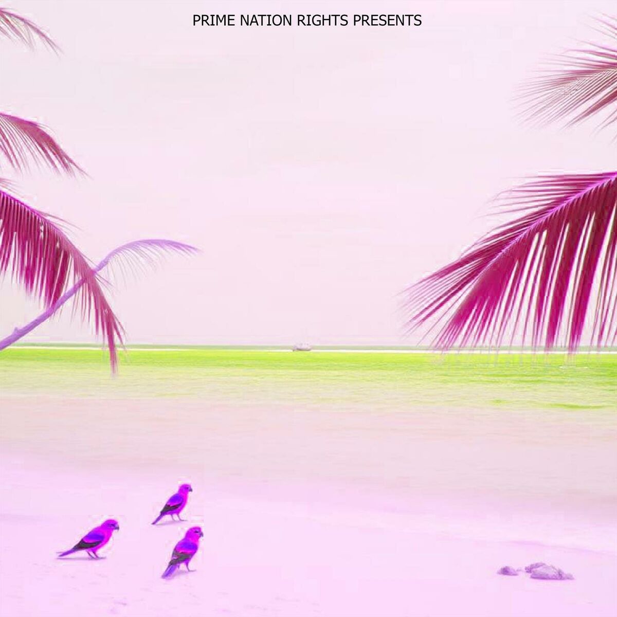 Album cover of Brazil Nights