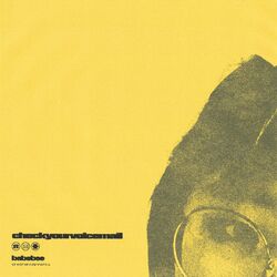 Cover of checkyourvoicemail