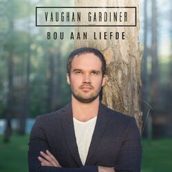 Cover of Bou Aan Liefde