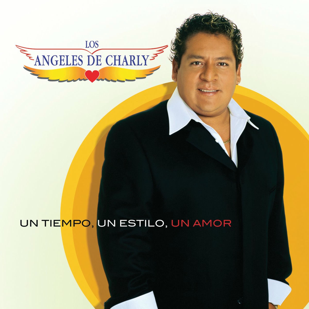 Album cover of Un Tiempo, Un Estilo, Un Amor