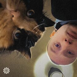 Cover of Aha