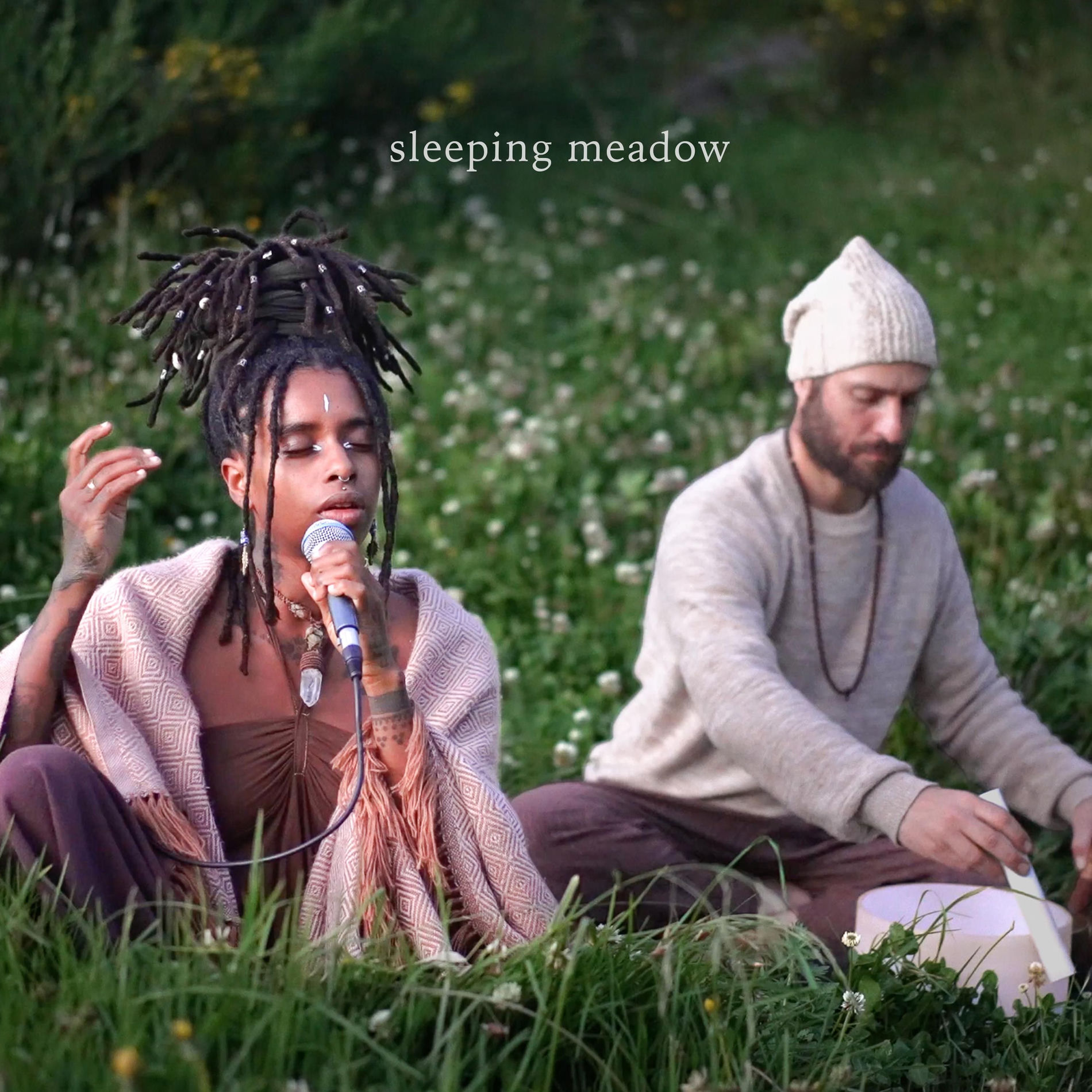 Album cover of Sleeping Meadow (963hz Crown Chakra)