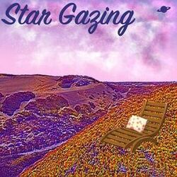 Star Gazing