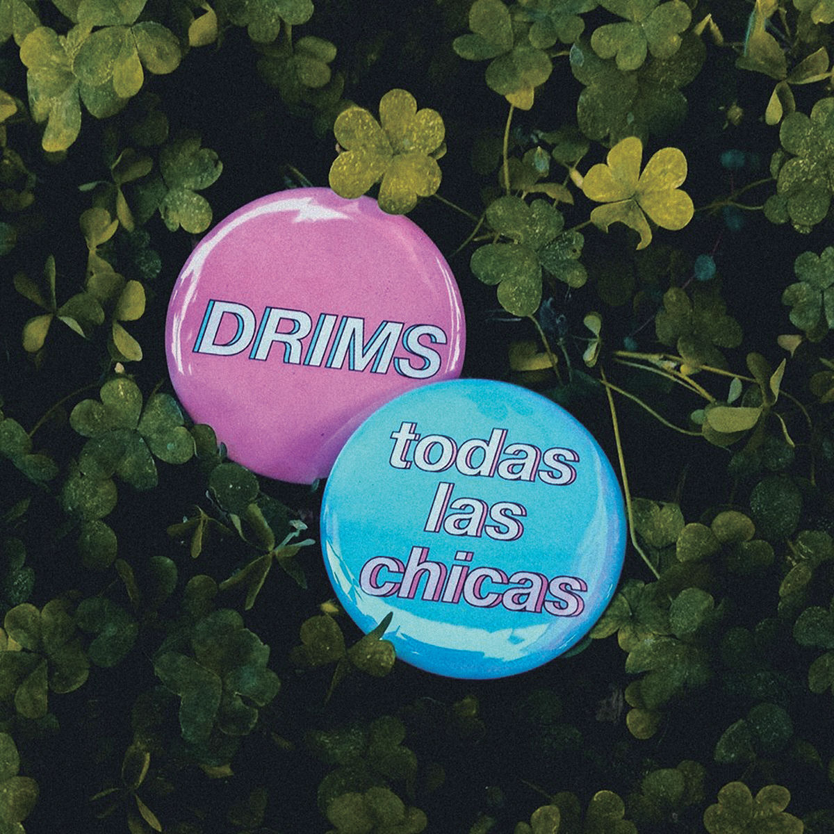 Album cover of Todas Las Chicas