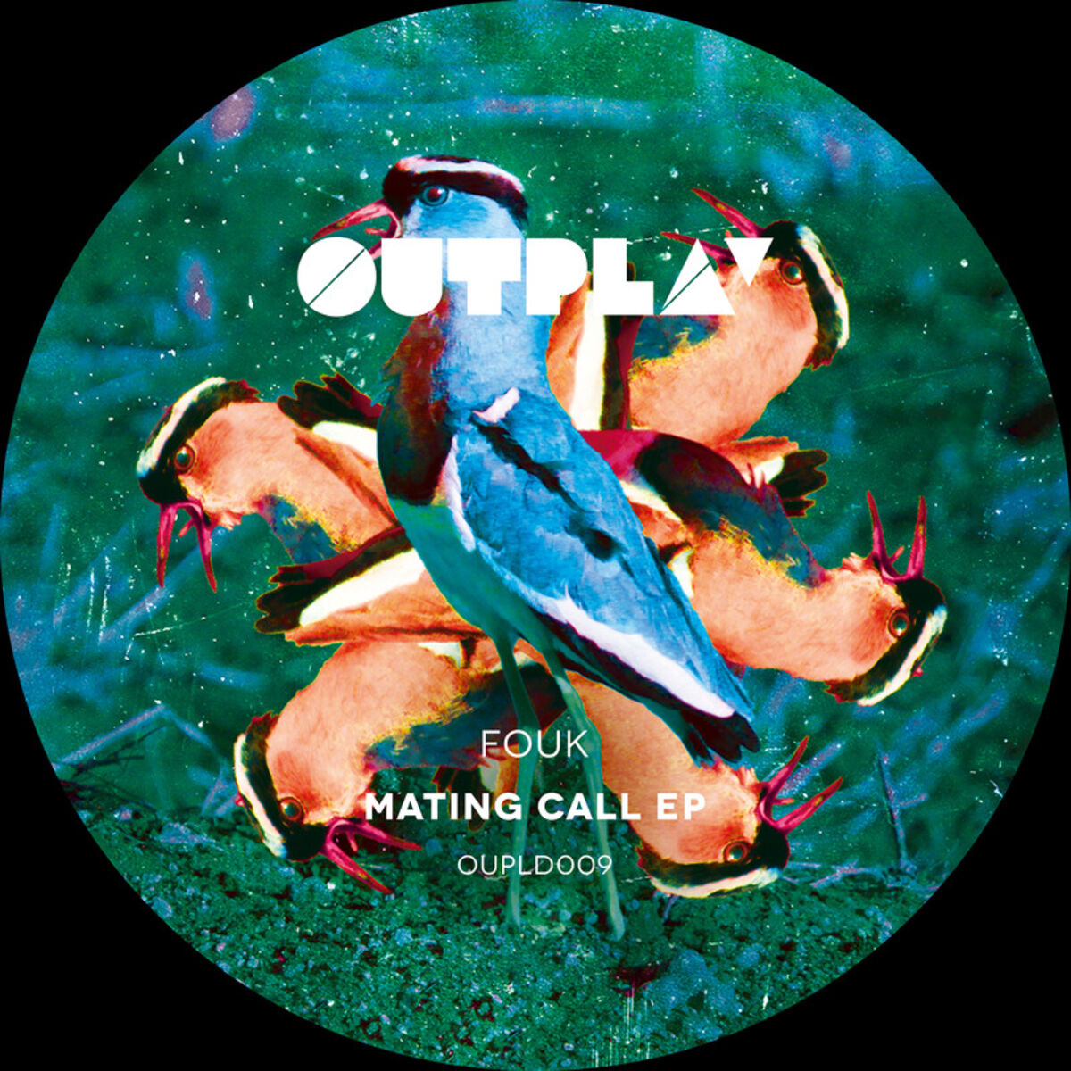Album cover of Mating Call EP