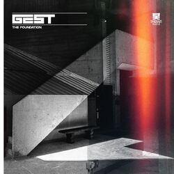 Cover of The Foundation