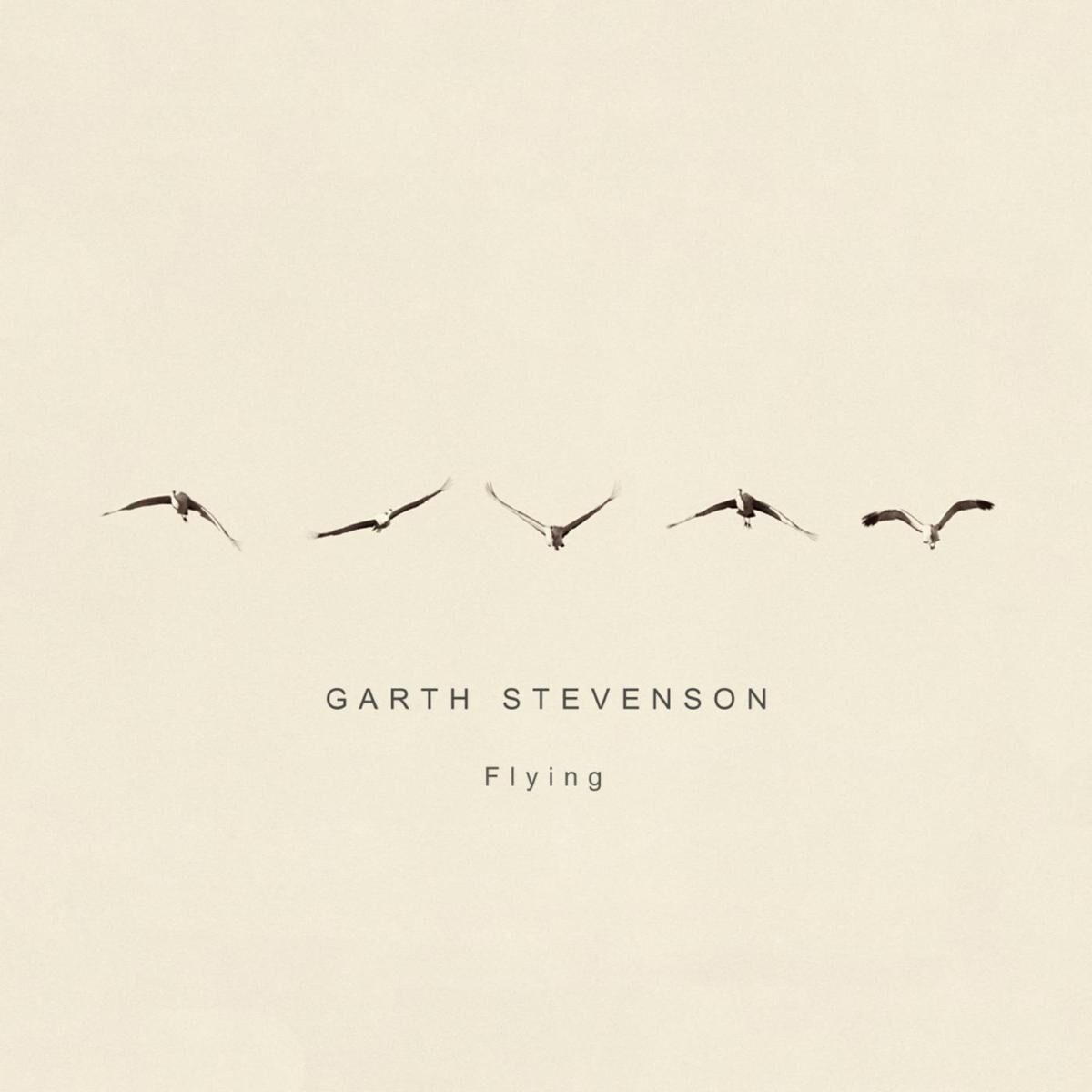 Album cover of Flying