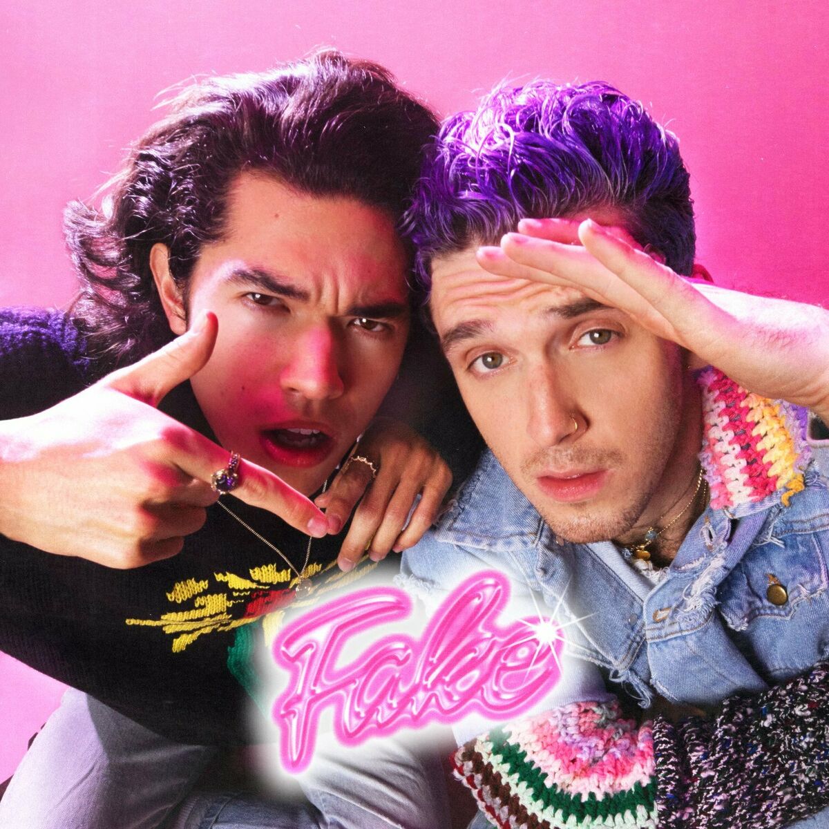 Album cover of Fake