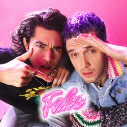 Cover of Fake