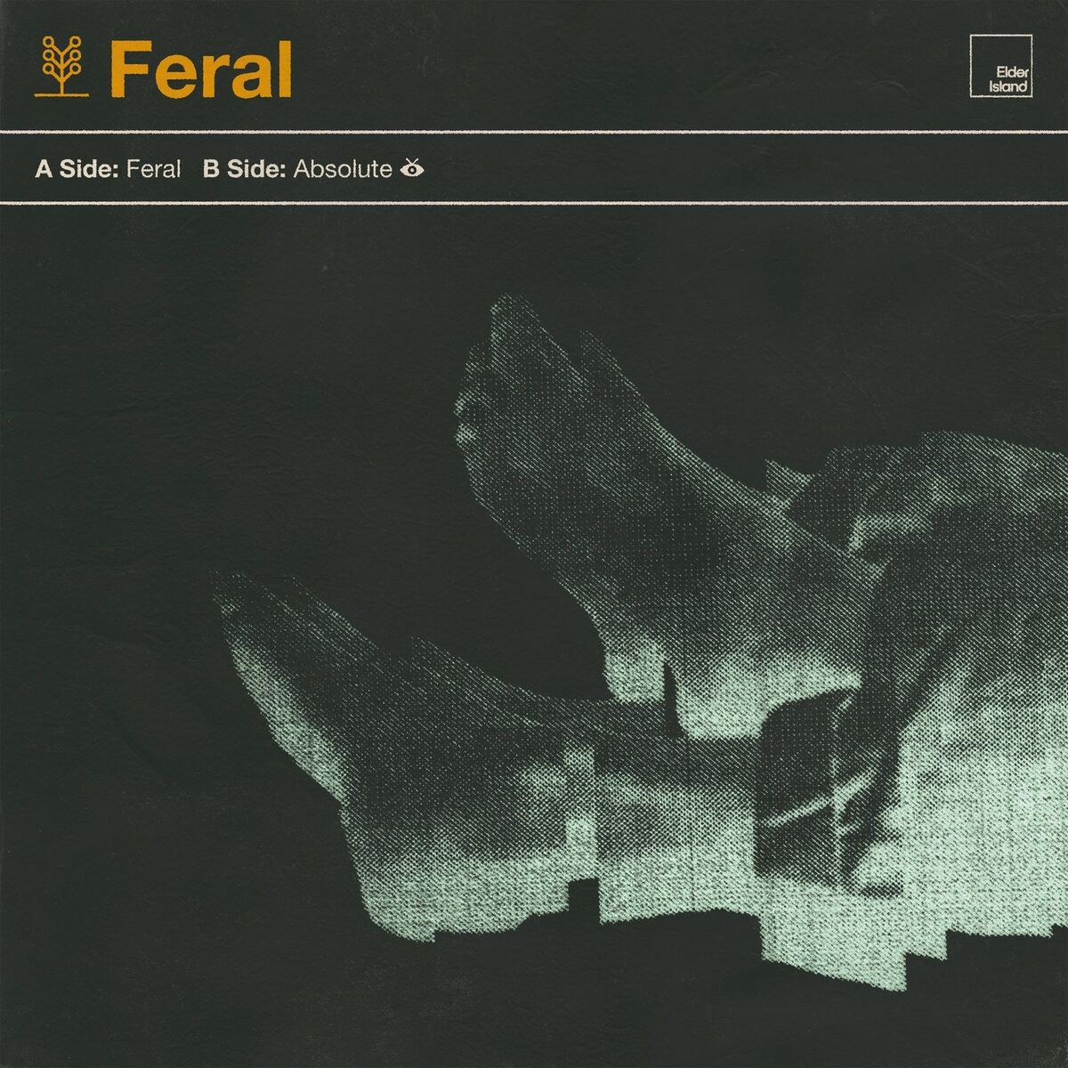 Album cover of Feral