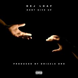 Cover of Don't Give Up