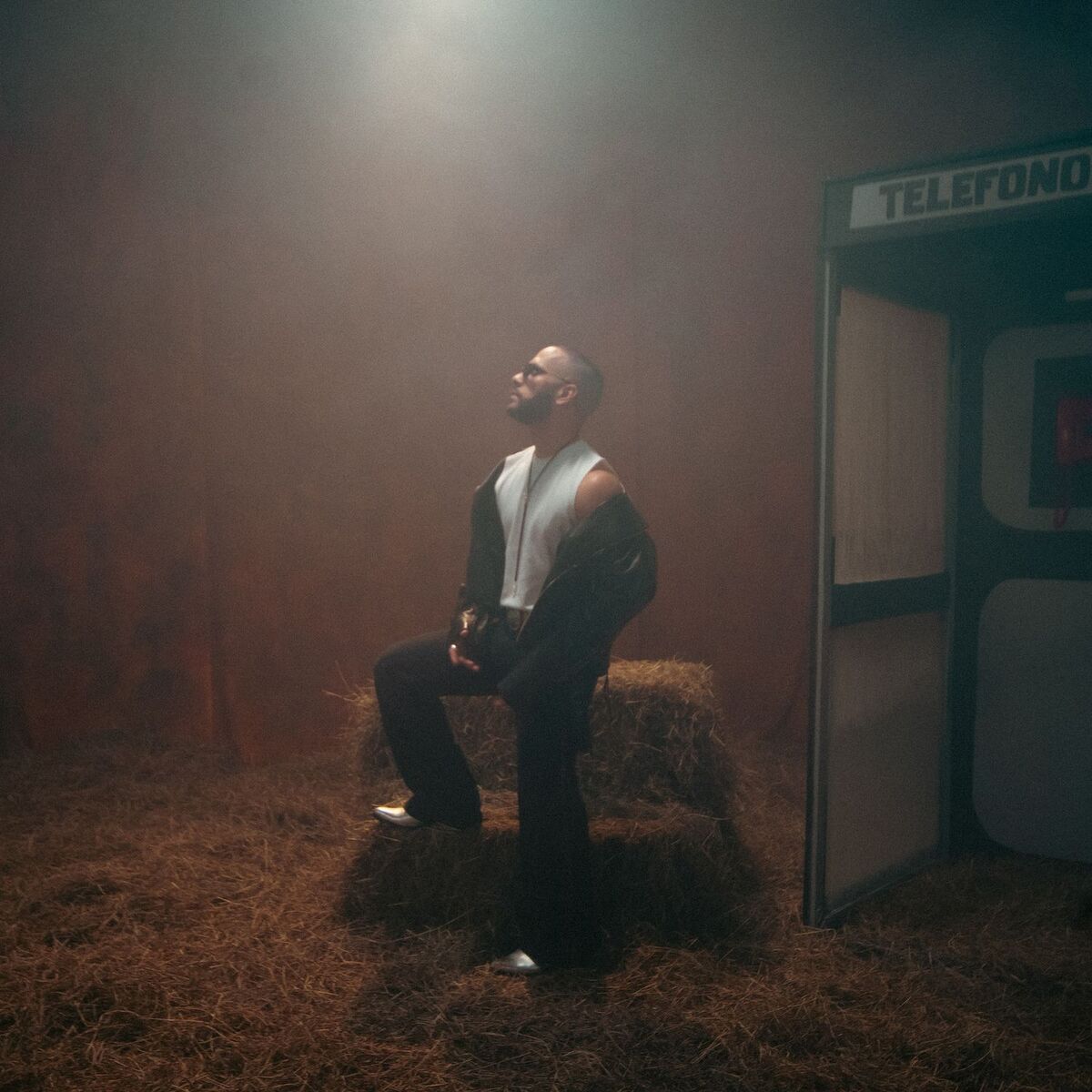 Album cover of Si Me Voy