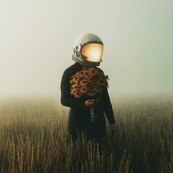 music cover