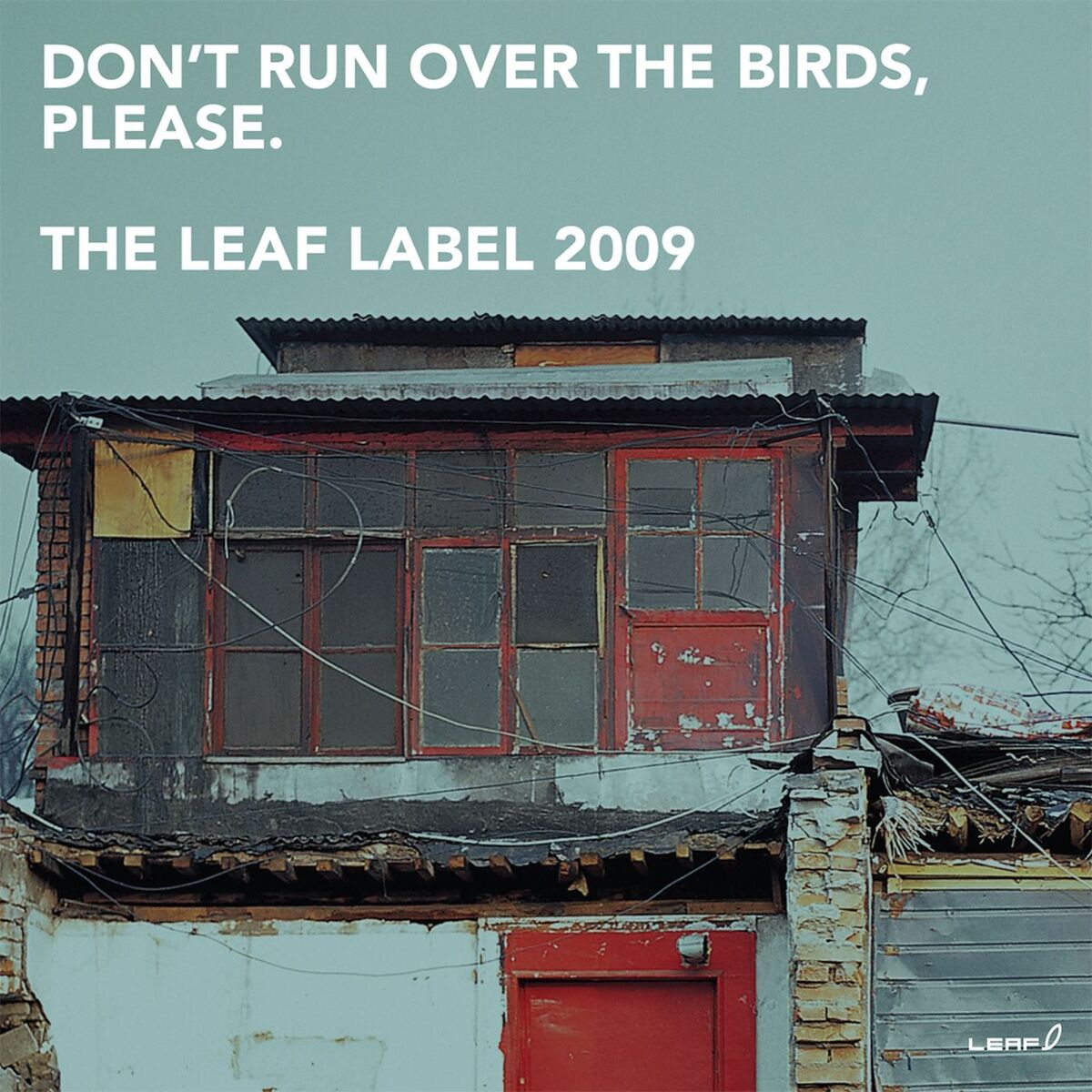 Album cover of Don't Run Over the Birds, Please.