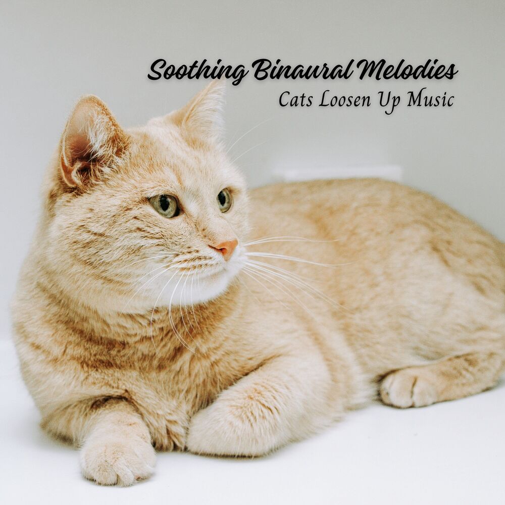 Picture of Soothing Binaural Melodies: Cats Loosen Up Music