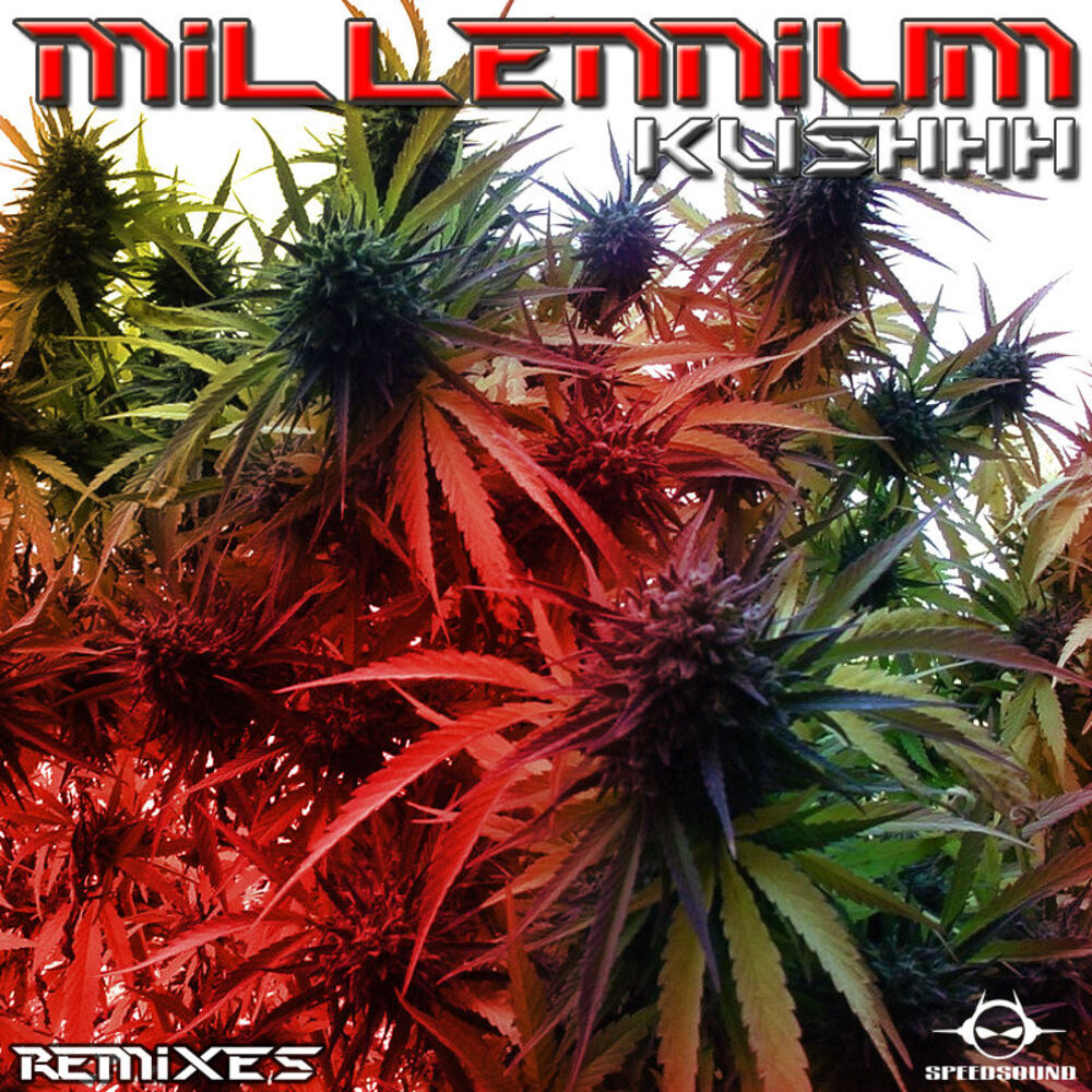 Picture of Kushhh Remixes