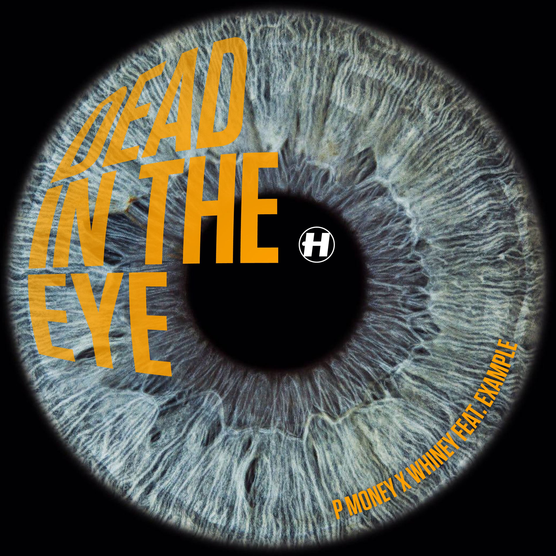 Album cover of Dead In The Eye