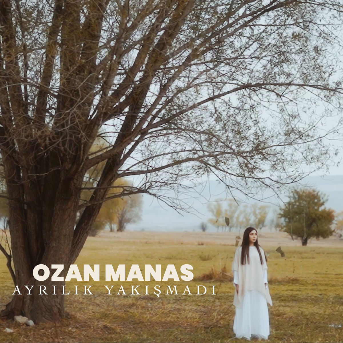 Album cover of Ayrılık Yakışmadı