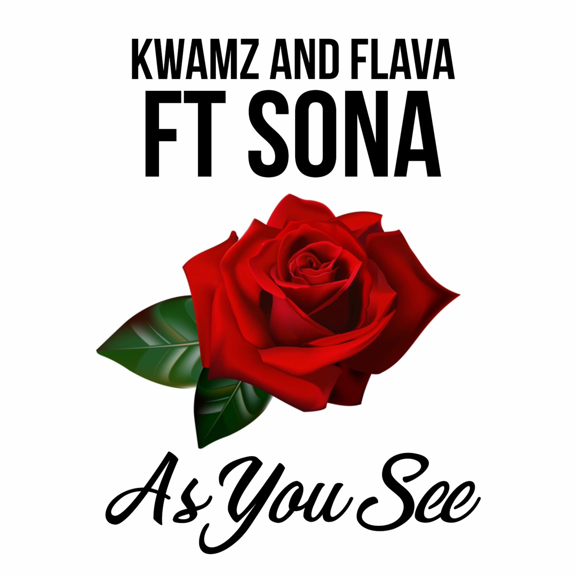 Album cover of As You See