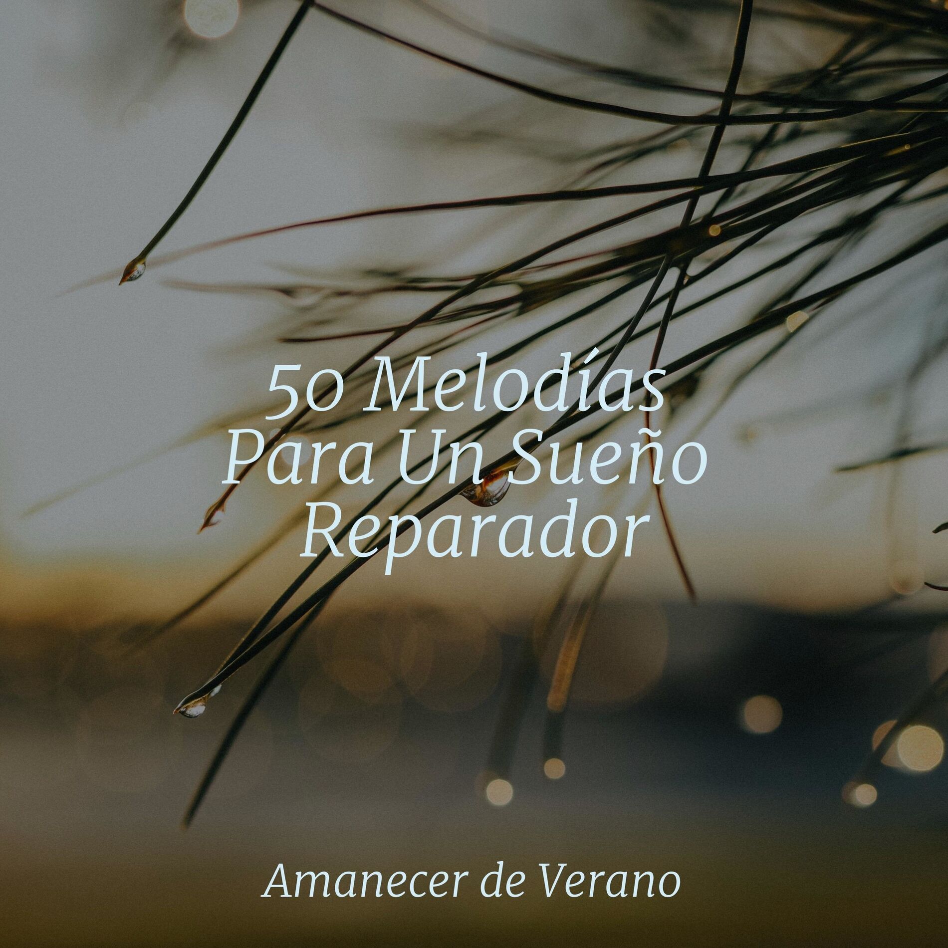 Album cover of 50 Melodías Para Un Sueño Reparador
