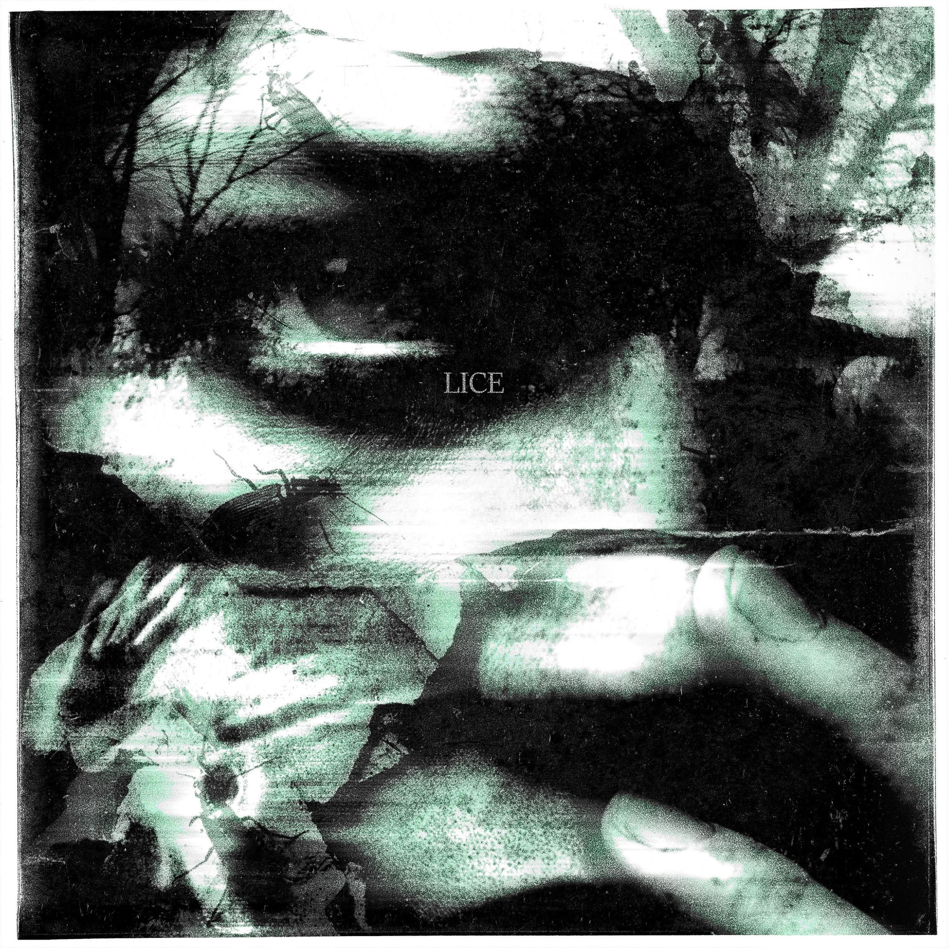Album cover of LICE
