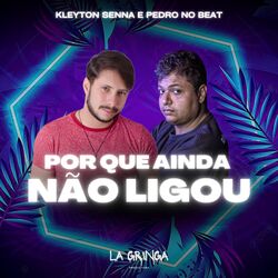 Cover of Por Que Ainda Não Ligou