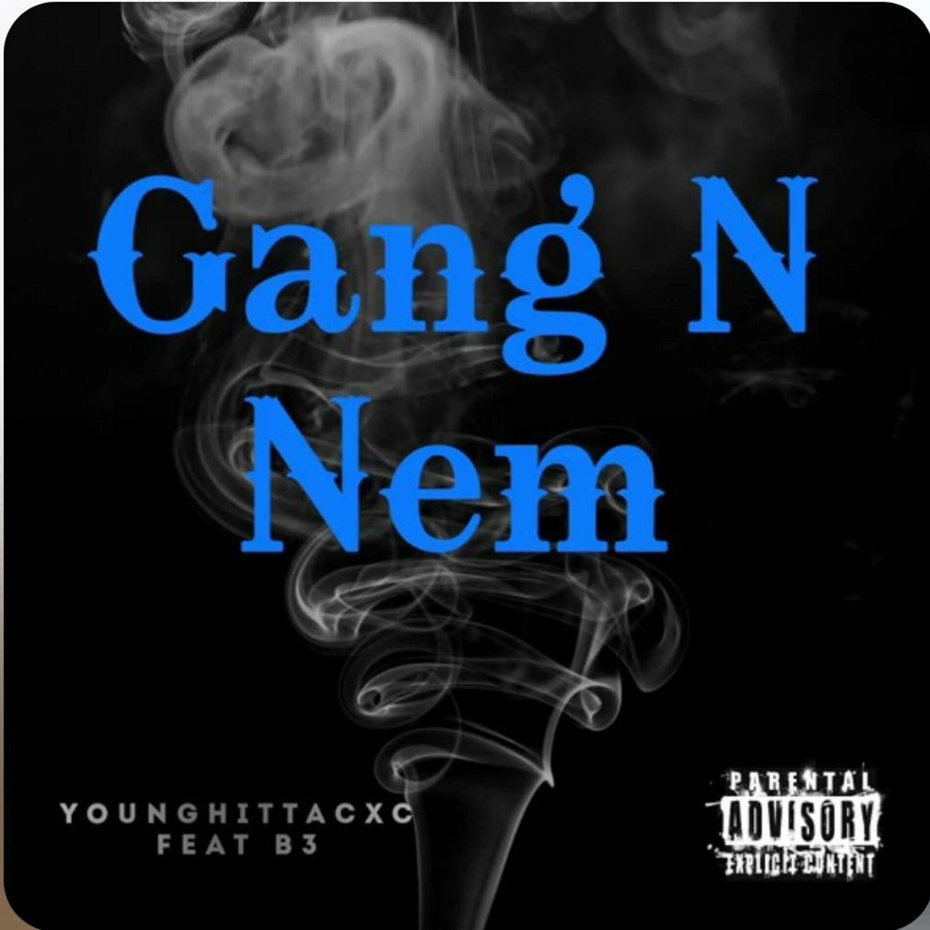 Album cover of Gang N Nem (feat. B3)