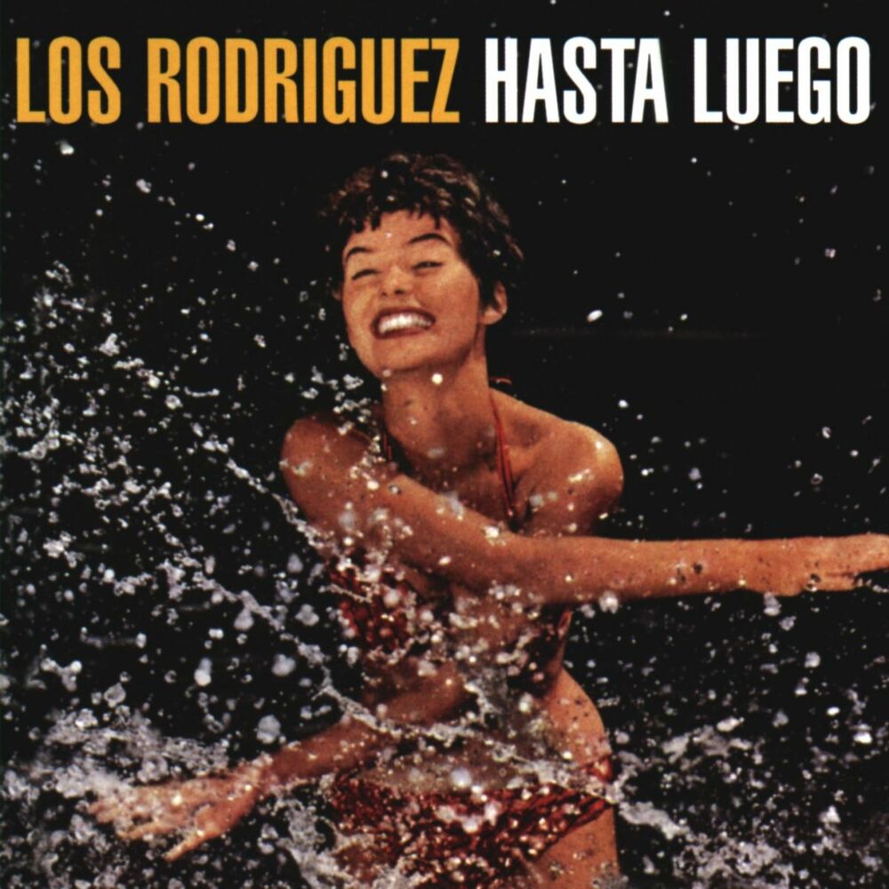 Picture of ¡Hasta luego!