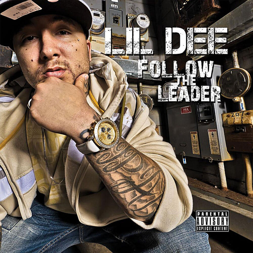 Picture of Follow the Leader