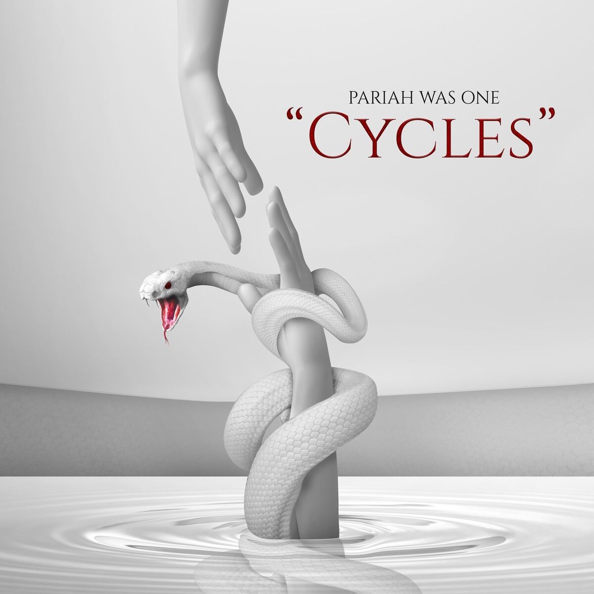 Album cover of Cycles