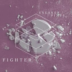 Cover of Fighter