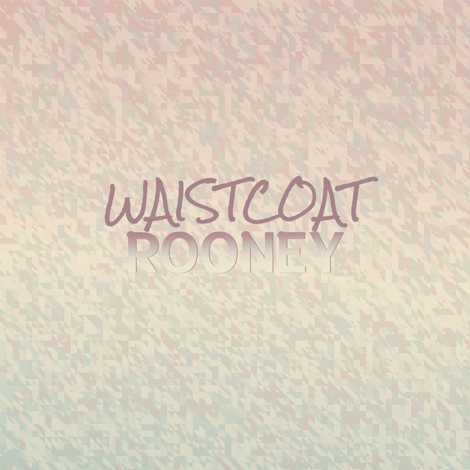 Album cover of Waistcoat Rooney