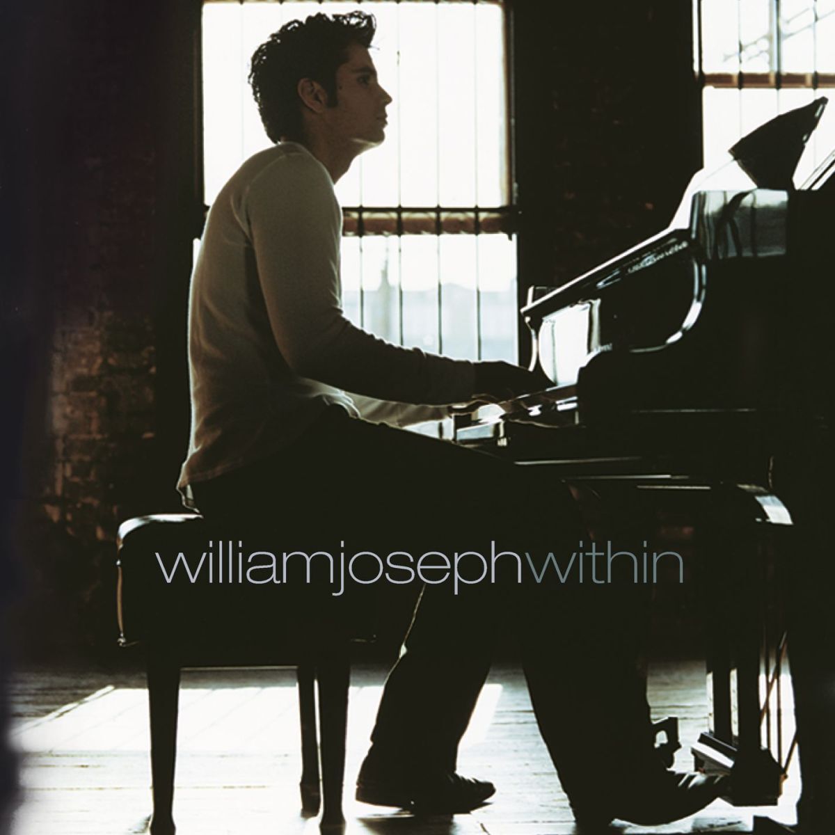 Album cover of Within