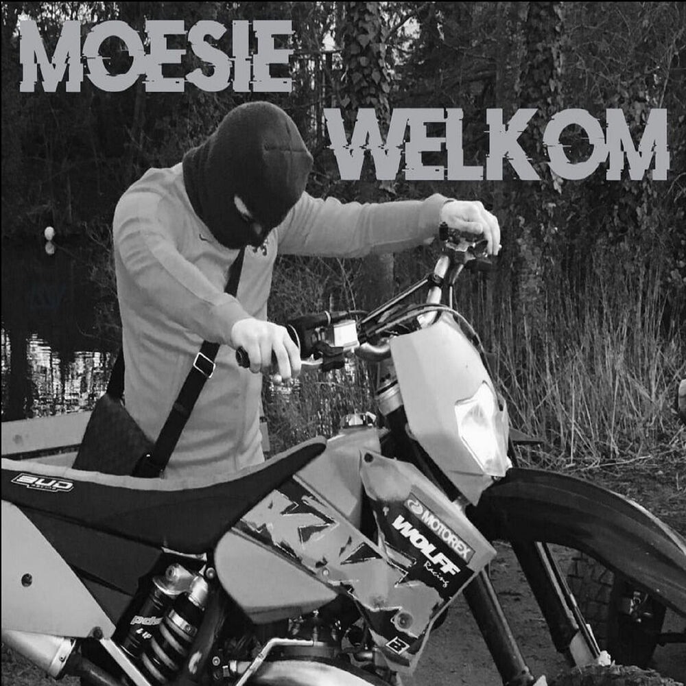 Picture of Welkom