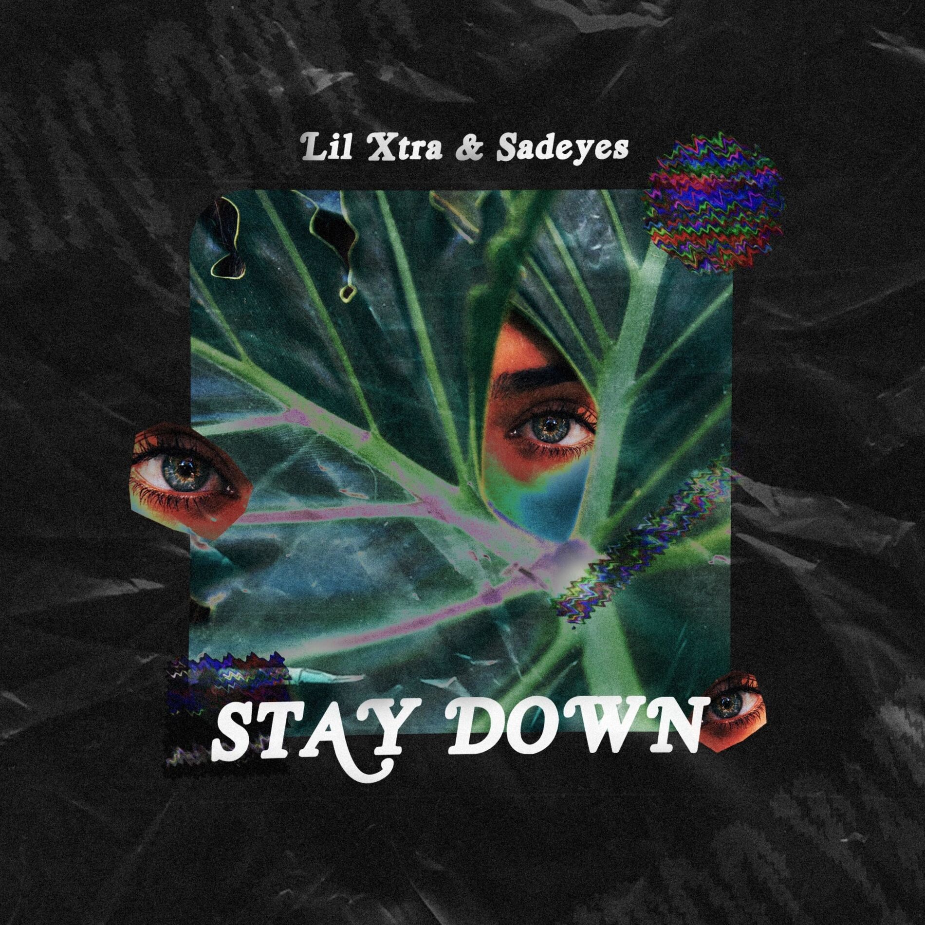 Album cover of Stay Down