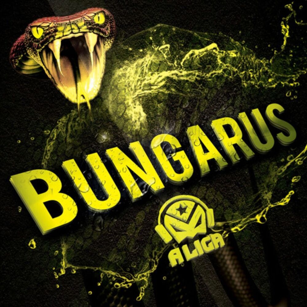 Picture of Bungarus