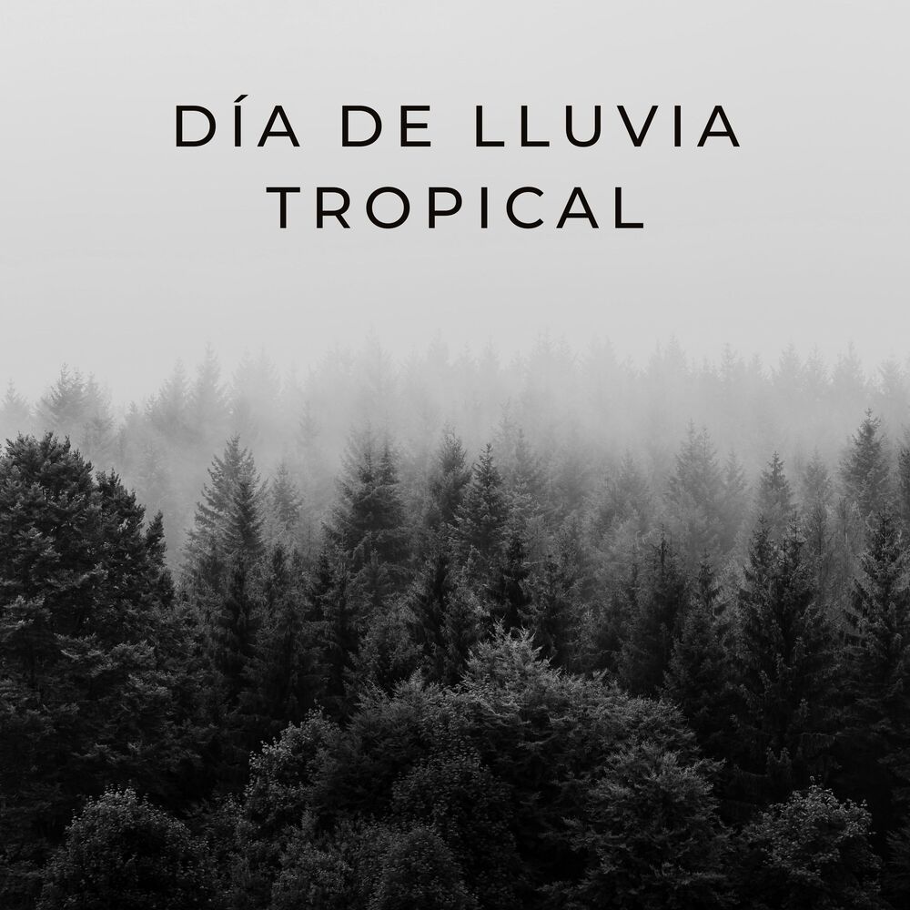 Picture of Día De Lluvia Tropical