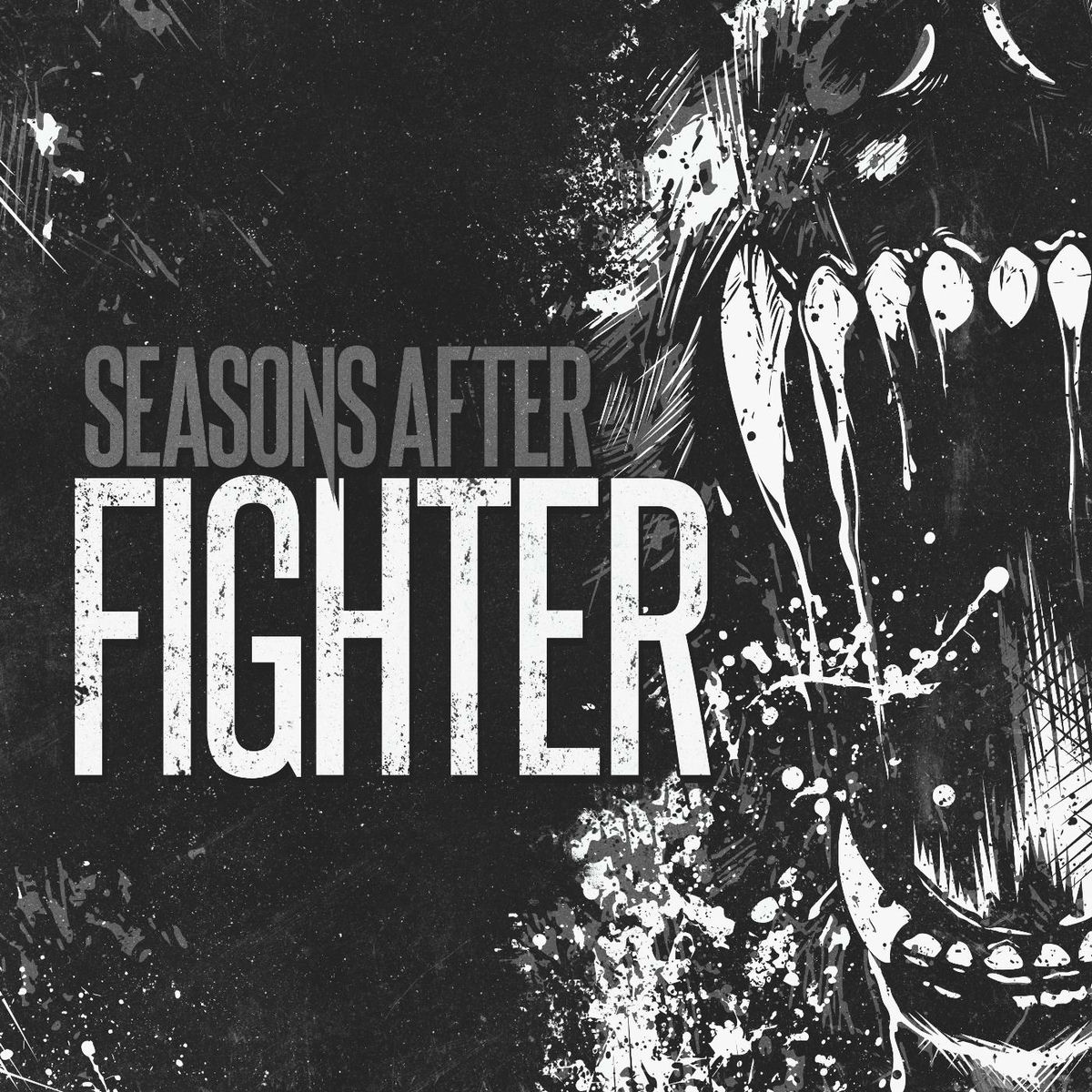 Album cover of Fighter