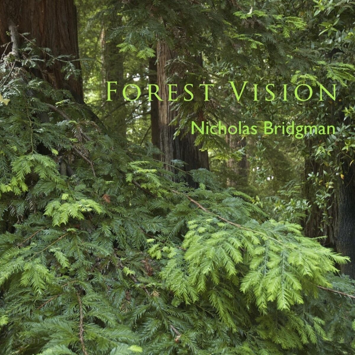 Album cover of Forest Vision