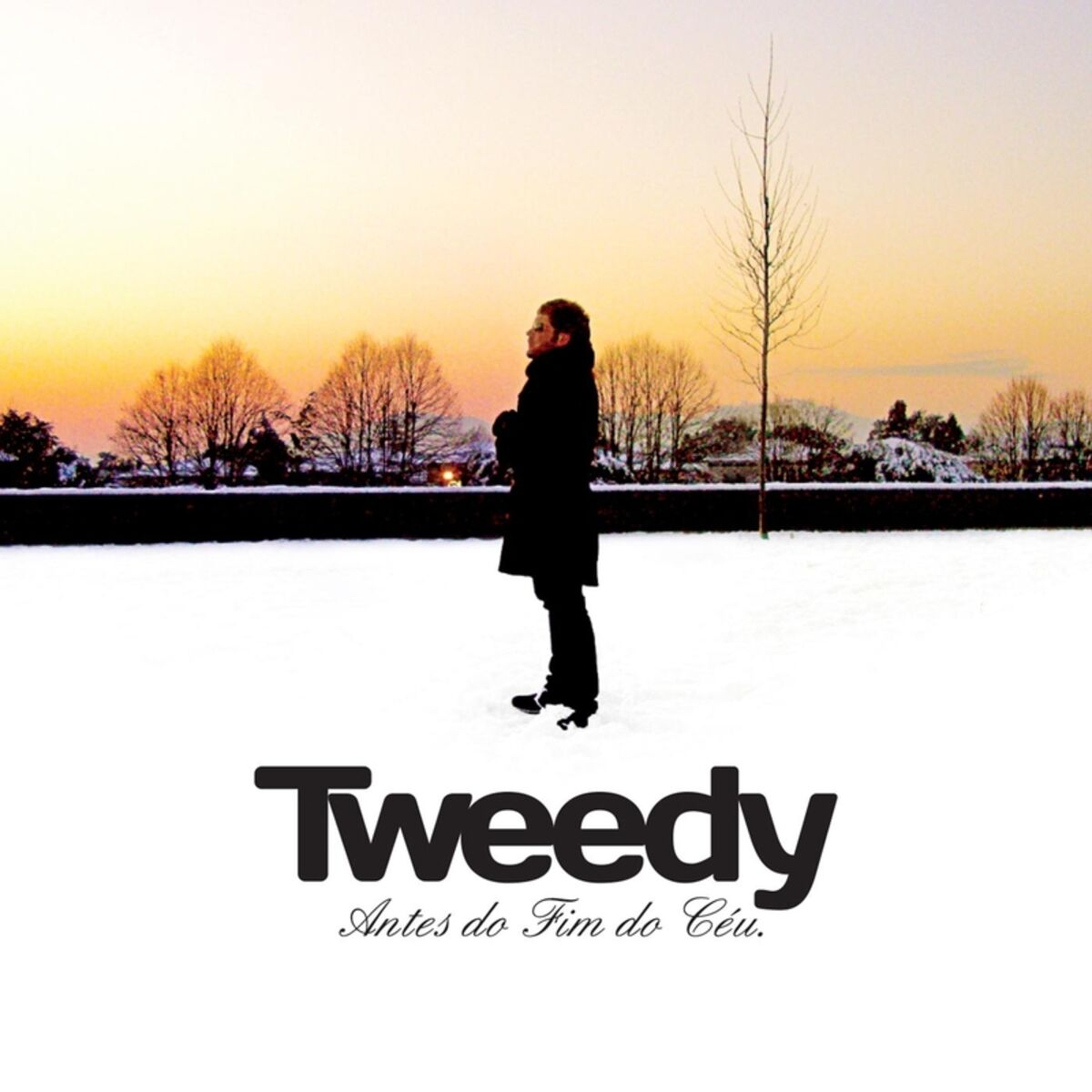 Album cover of Antes do Fim do Céu