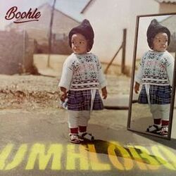 Cover of Mhlobo Wami