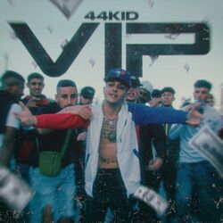Cover of VIP