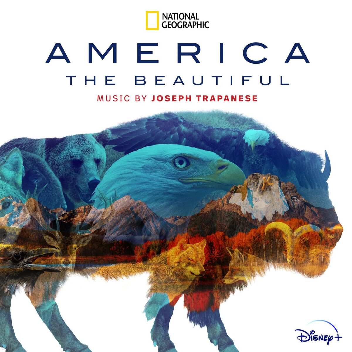 Album cover of America the Beautiful (Original Soundtrack)