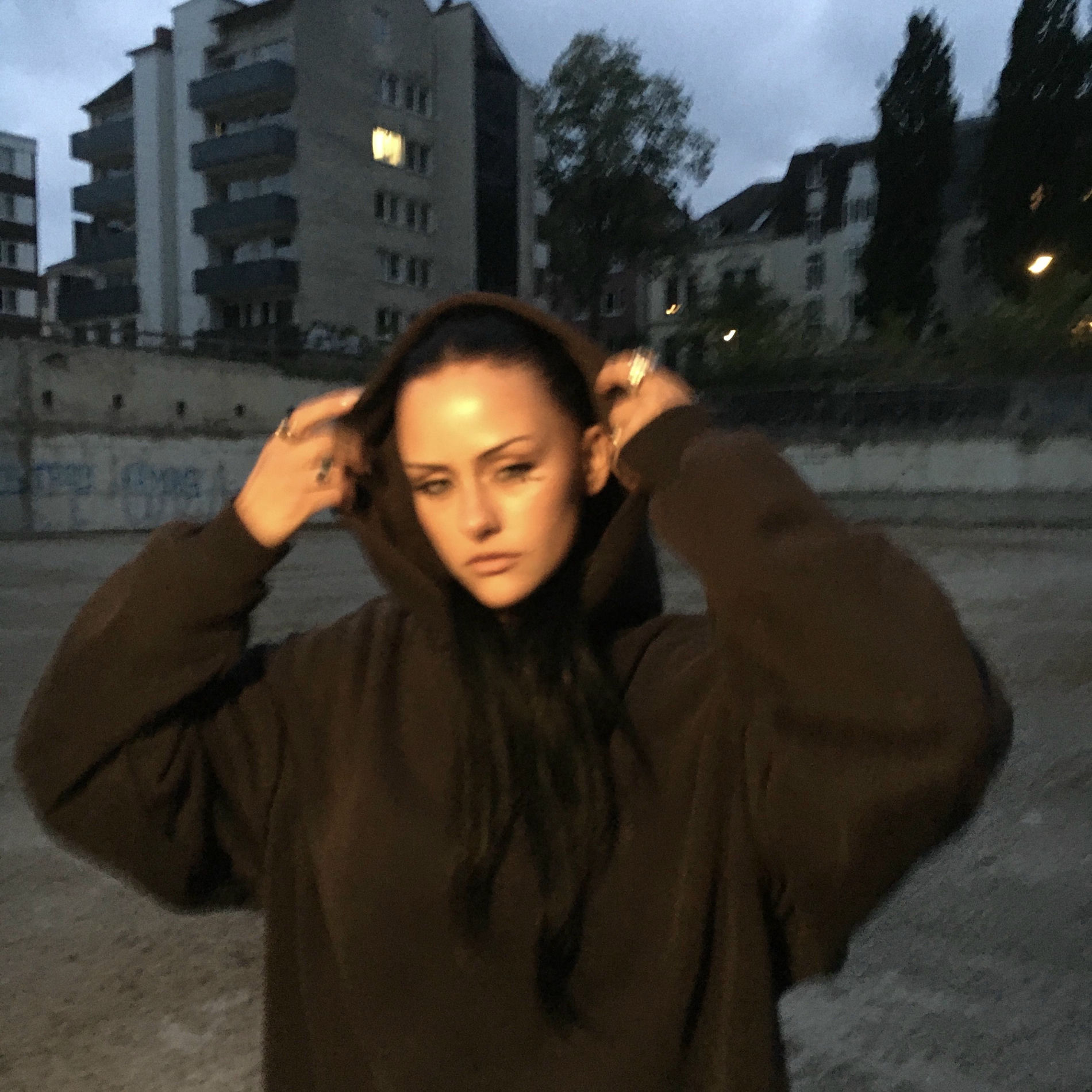 Album cover of Antarktis
