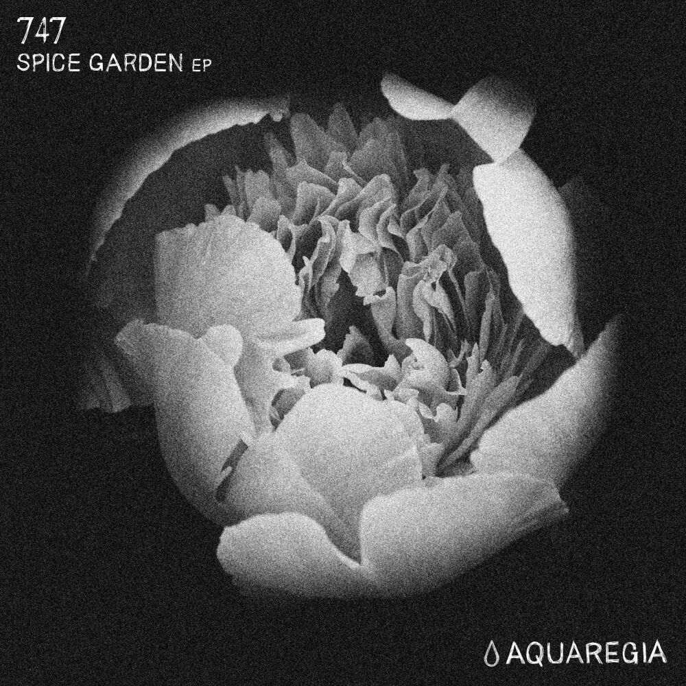 Picture of Spice Garden EP