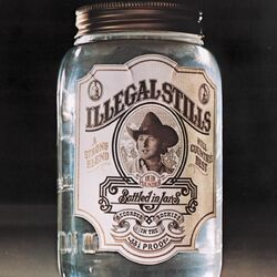Cover of Illegal Stills