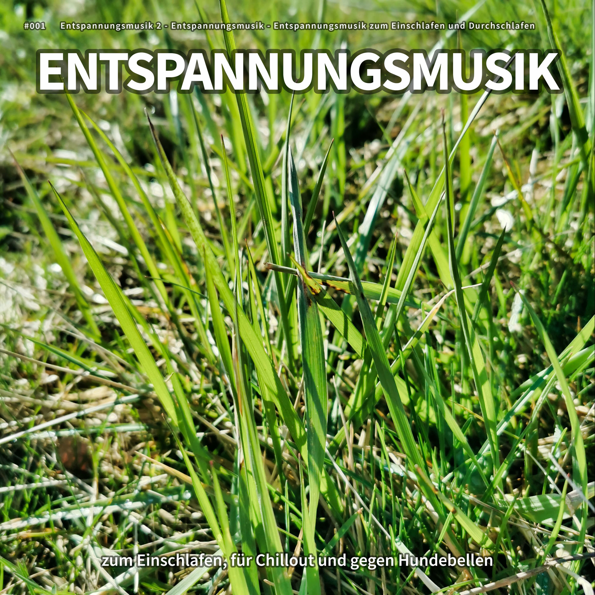 Album cover of #001 Entspannungsmusik zum Einschlafen, für Chillout und gegen Hundebellen
