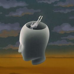 Cover of Falling Into Focus, Mindscape Drift