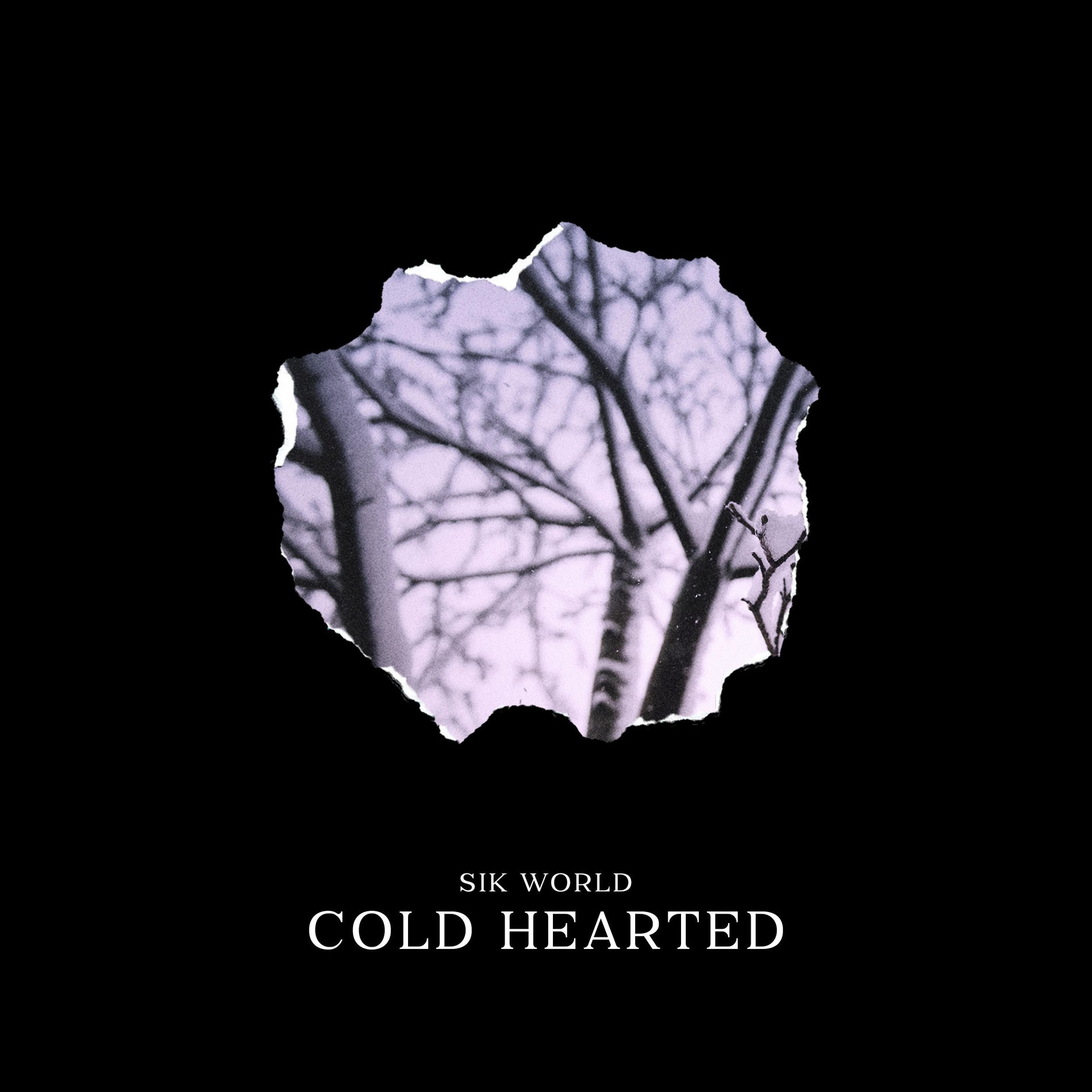 Album cover of Cold Hearted